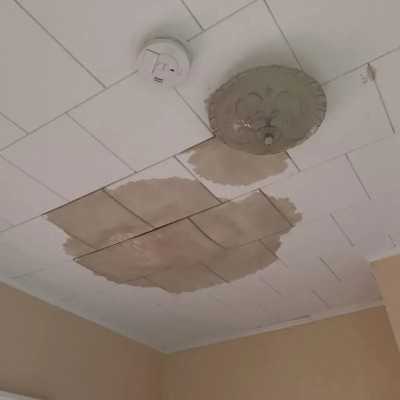 Ceiling Water Damage Repair in Humphreys County, TN