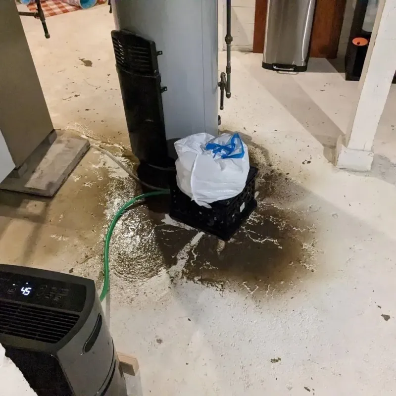 Sewage Backup Cleanup Service in Humphreys County, TN